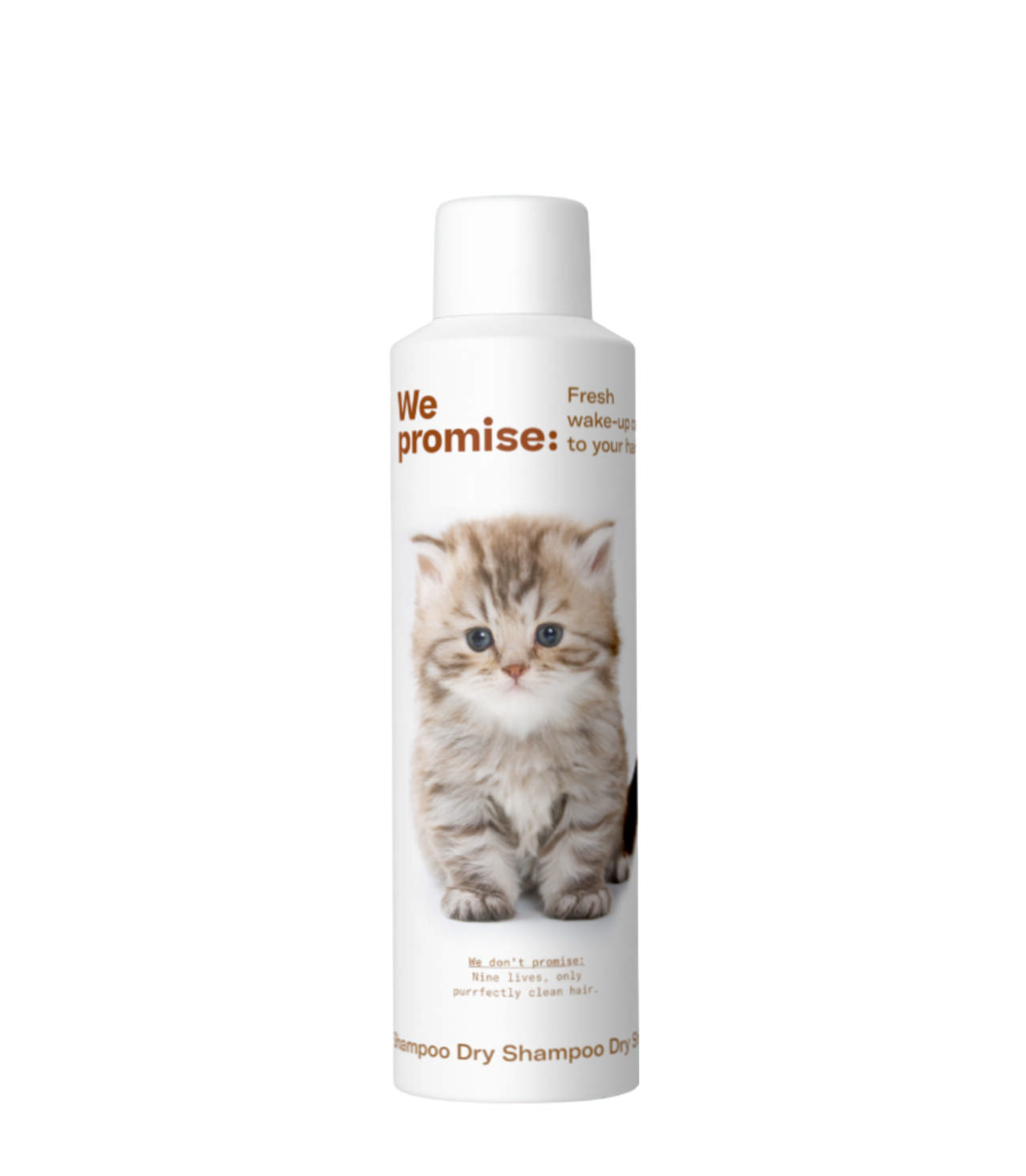 We Promise: Dry Shampoo, 250 ml.